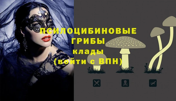 мескалин Арсеньев