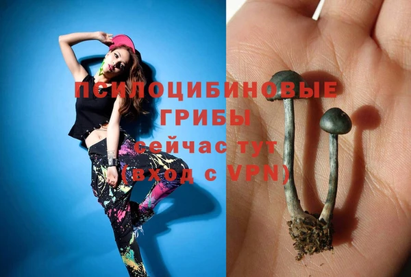 не бодяженный Аркадак