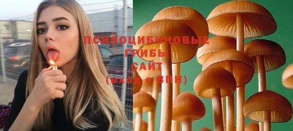 не бодяженный Аркадак
