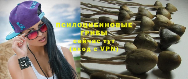 не бодяженный Аркадак