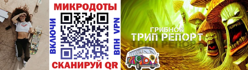 Галлюциногенные грибы MAGIC MUSHROOMS  купить закладку  Приморск 