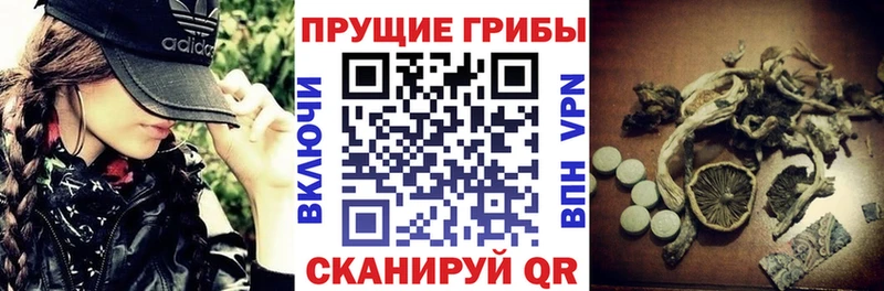Псилоцибиновые грибы мухоморы Приморск